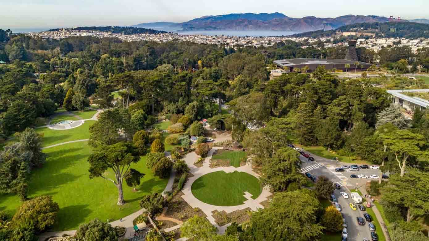 San Francisco Free Attractions and Activities: My Personal Guide
