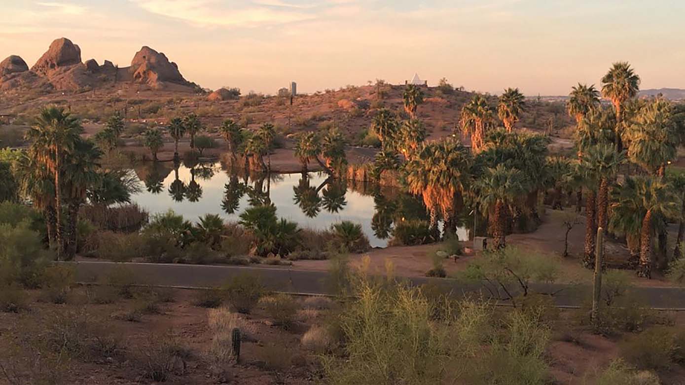Experiencing Desert Sunrises: The Best Viewpoints Near Phoenix